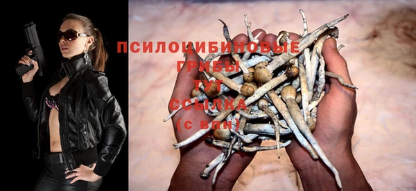 стаф Алексин