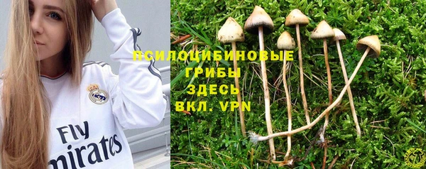стаф Алексин