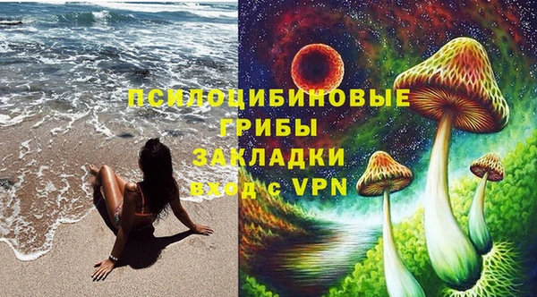 стаф Алексин